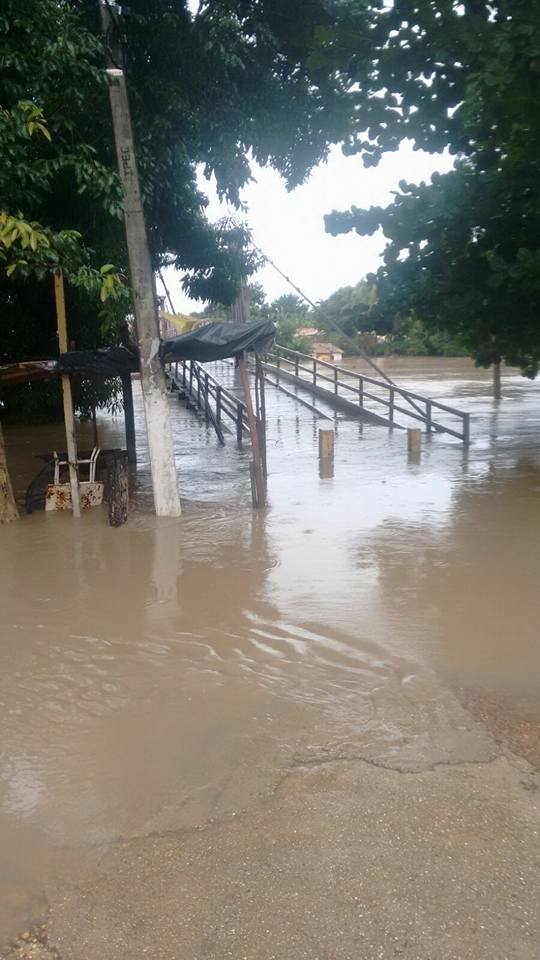 12651260_835716996574382_9212428409053688327_n